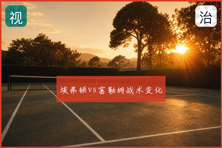 埃弗顿vs富勒姆战术变化